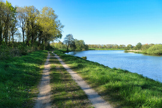 Weg am Flussufer mit Baumreihe und Gras ( An der Ems bei Meppen)