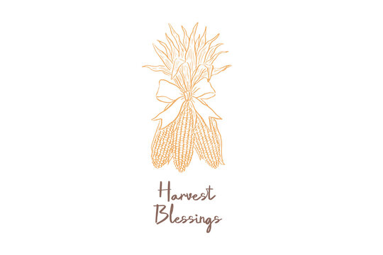 Hand drawn vintage autumn corn stalks with harvest blessings typography vector illustration Design