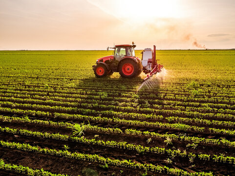 Tractor spraying soybean field with pesticides at sunset