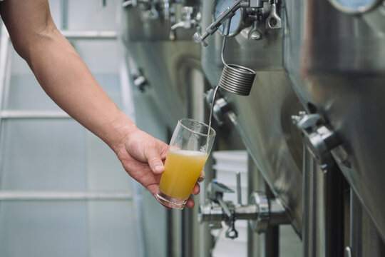 醸造タンクからグラスへ直接注がれるビール　クラフトビール醸造のサンプリングとテイスティング