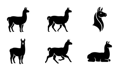 Llama Icons Set, Silhouette Vector Graphics, Animal Collection, Farm Livestock, South American Camelid © Zarin