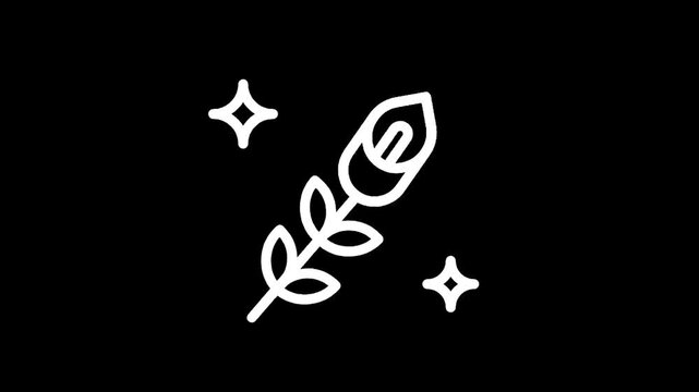 Elegant white calla lily icon with sparkling stars on a black background