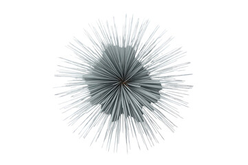 Fototapeta premium Pale gray spiky plant rosette isolated on transparent background