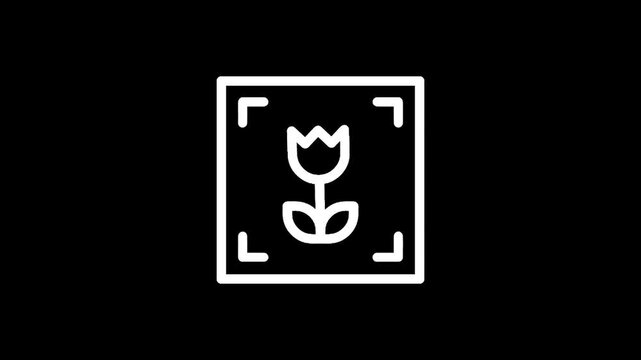 Simple line art icon of a tulip flower within a square frame with corner brackets