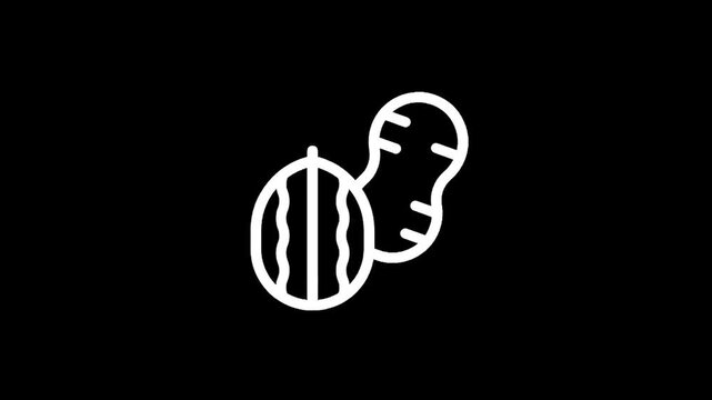 Simple white line art icon of a peanut on a black background