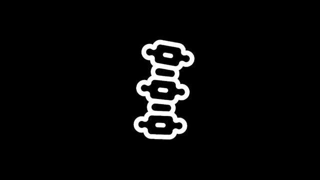 Stylized white outline of a human spine on a black background