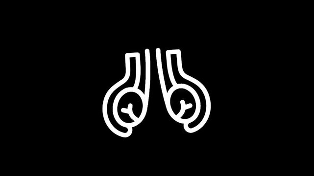 Stylized line art icon representing the male reproductive organs, testes, and vas deferens