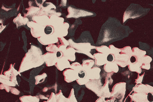 old half tone poster background with pink flowers