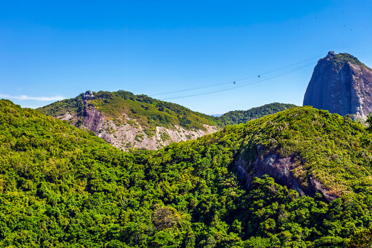 Sugarloaf Mountain (P&atilde;o de A&ccedil;&uacute;car) and cable car in Rio de Janeiro, Brazil, over lush tropical forest under clear blue sky.