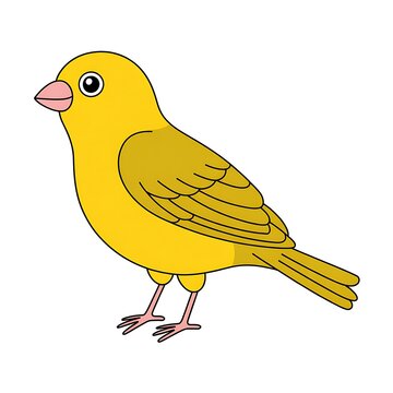 Cute yellow canary bird cartoon illustration isolated on white background
