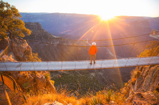 Suspension bridge