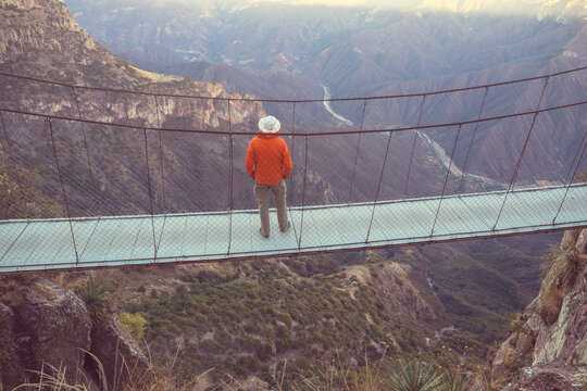 Suspension bridge