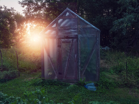 Sunlight filters through trees, illuminating a rustic garden shed. Green grass covers the ground, with tools nearby. Peaceful outdoor setting during sunrise or sunset. Natural tones dominate the scene