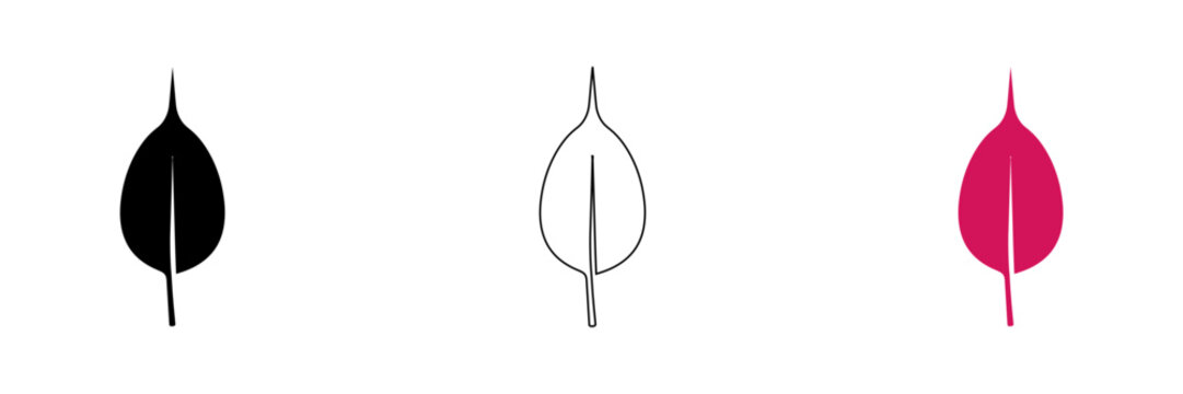 Modern minimalist leaf icon set with three different styles isolated on transparent background, Vector