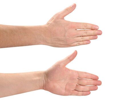 Set of flat male hands showing front and side views, isolated on transparent cutout background