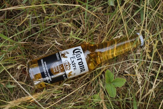 LVIV, UKRAINE - July 03, 2026: Bottle of beer Corona