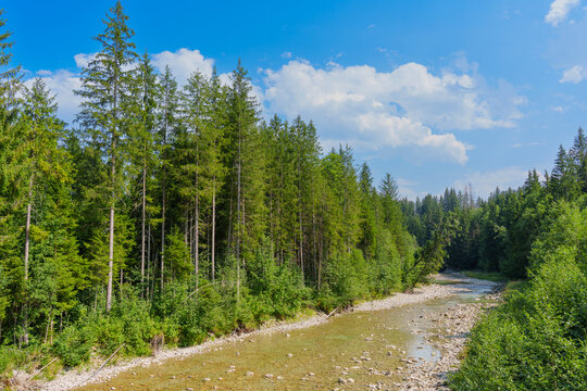Scenic View of Ammer Gorge in the Scheibum Area in Bavaria Germany