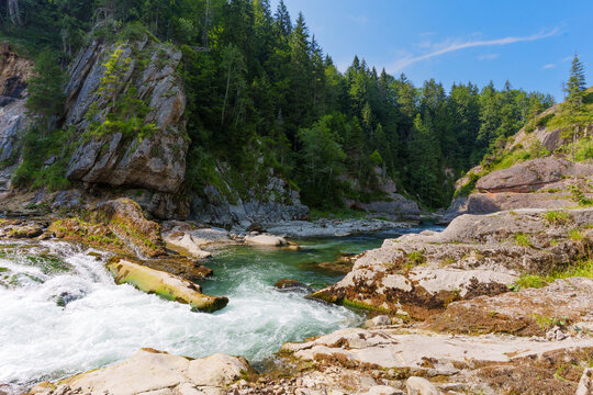 Beautiful Rushing River Flowing Through Wild Ammer Gorge in Bavaria