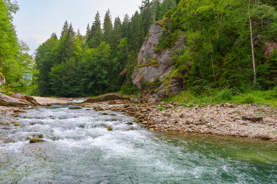 Scenic Wild Mountain River Flowing Through the Ammer Gorge in Bavaria