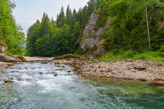Rushing Mountain River Flows Through the Scenic Ammer Gorge in Bavaria