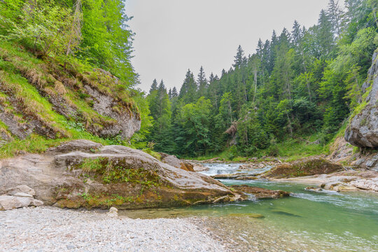 Scenic River Flowing Through the Lush Green Ammer Gorge in Bavaria