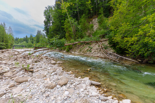 Pristine Alpine River Flowing Through Scenic Ammer Gorge in Bavaria