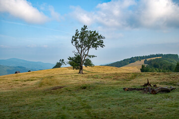 polana © piotrwolak