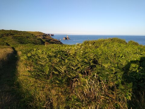 UK Nature Landscape Pembrokeshire Coast Sunset View