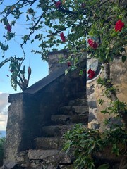 Old stone staircase with blooming red hibiscus flowers in a traditional village on Madeira Island, Portugal © olga