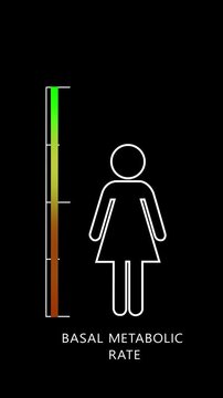 Basal metabolic rate abstract measuring device. Meter scale with female simple outline silhouette. Basal metabolic rate infographic animation: female metabolism level indicator for health and fitness