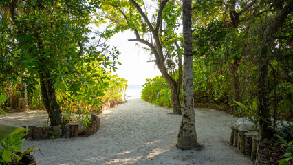Obraz premium Sandy path leading through lush green tropical vegetation to a bright sunlit beach, Omadhoo, Maldives. Empty trail to the ocean on a summer vacation island