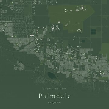 Sage Green Map of Palmdale, United States | Modern Scandinavian Wall Art