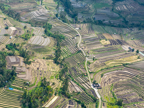 Aerial view of lush green rice terraces with intricate patterns of flooded paddies and winding paths in Bali, Indonesia.