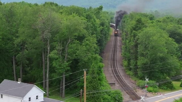 A steam train moves along the tracks surrounded by tall trees in a green forest. The train puffs smoke as it approaches a curve in the track. Nearby houses are visible.

