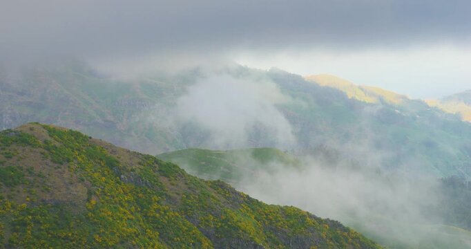 4K video, Clouds and fog moving over a mountain landscape with yellow flowers in spring, Madeira Portugal