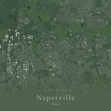 Sage Green Map of Naperville, United States | Modern Scandinavian Wall Art