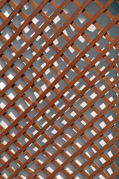 Wooden Lattice Wall Trellis Fence Sunny Day Background