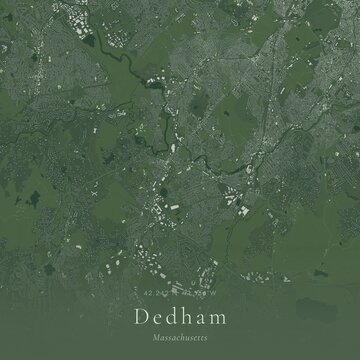 Sage Green Map of Dedham, United States | Modern Scandinavian Wall Art