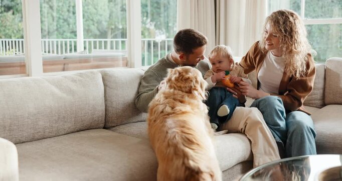 Happy, parents and baby at house with dog, love and parental support for bonding together. Smile, people and toddler on sofa with pet animal, nuturing childcare and playing with toy for weekend break