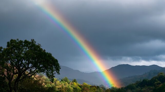A vibrant rainbow arcs across a cloudy sky above rolling hills and dense forested valleys