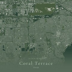 Obraz premium Sage Green Map of Coral Terrace, United States | Modern Scandinavian Wall Art