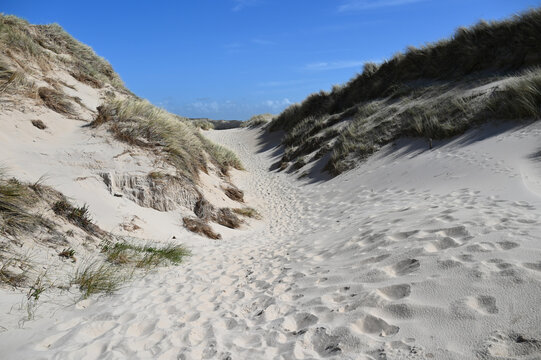 D&uuml;nen, Nordholl&auml;ndische D&uuml;nenreservat, es f&uuml;hren Wege aus den D&uuml;nen an den Strand der Nordsee