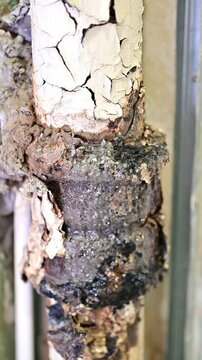 A serious plumbing issue arises when a sewer pipe bursts in an apartment, causing a fecal leak that requires immediate repairs. The damage is extensive and needs urgent attention.