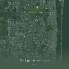 Obraz premium Sage Green Map of Palm Springs, United States | Modern Scandinavian Wall Art
