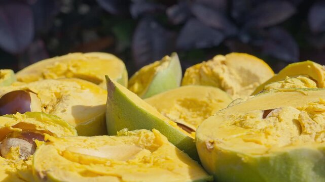 Fresh Whole and Sliced Peruvian Lucuma Fruit in a White Bowl