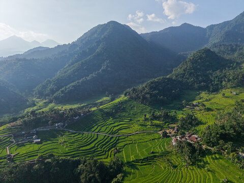 Aerial view of Cisalada Rice Terrace with lush green terraced fields, winding paths, and surrounding mountains in Pamijahan, West Java, Indonesia.