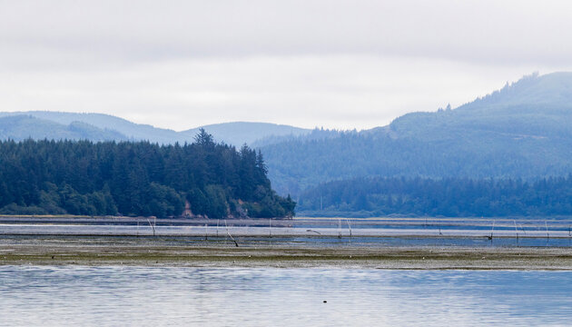Mudflats near Pacific Ocean