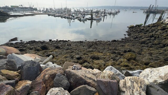 Rocky Rockland Harbor Maine Coastal Morning