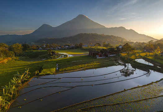 Aerial view of Selotapak rice terraces with lush green paddies and water reflections under a mountain landscape during golden hour in Trawas, East Java, Indonesia.