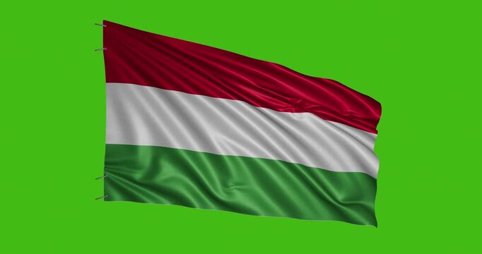 Hungarian flag waving in the wind against a green background